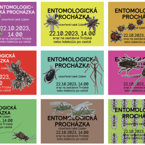 Filip Zeman - Entomologika pohybu