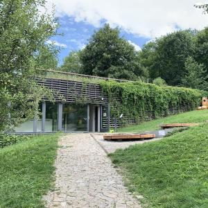 Otevřená zahrada popínavé rostliny_foto Kateřina Eklová.JPG