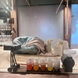 foto_1_Aneta Kohoutová.jpg