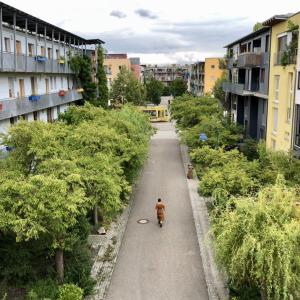 Freiburg, zdroj_ Nikoelsen, Twitter.jpg